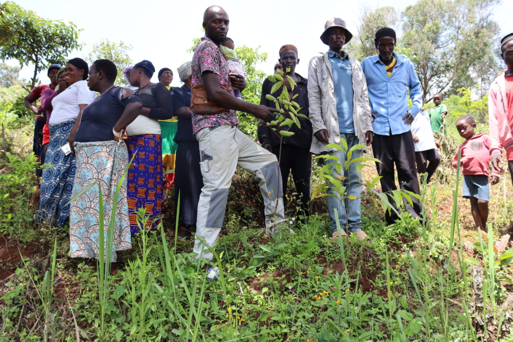 Photo of CENDEP in Cameroon.