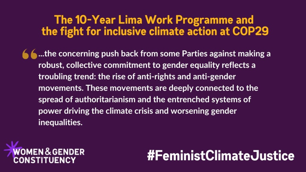 "...the concerning push back from some Parties against making a robust, collective commitment to gender equality reflects a troubling trend: the rise of anti-rights and anti-gender movements. These movements are deeply connected to the spread of authoritarianism and the entrenched systems of power driving the climate crisis and worsening gender inequalities."