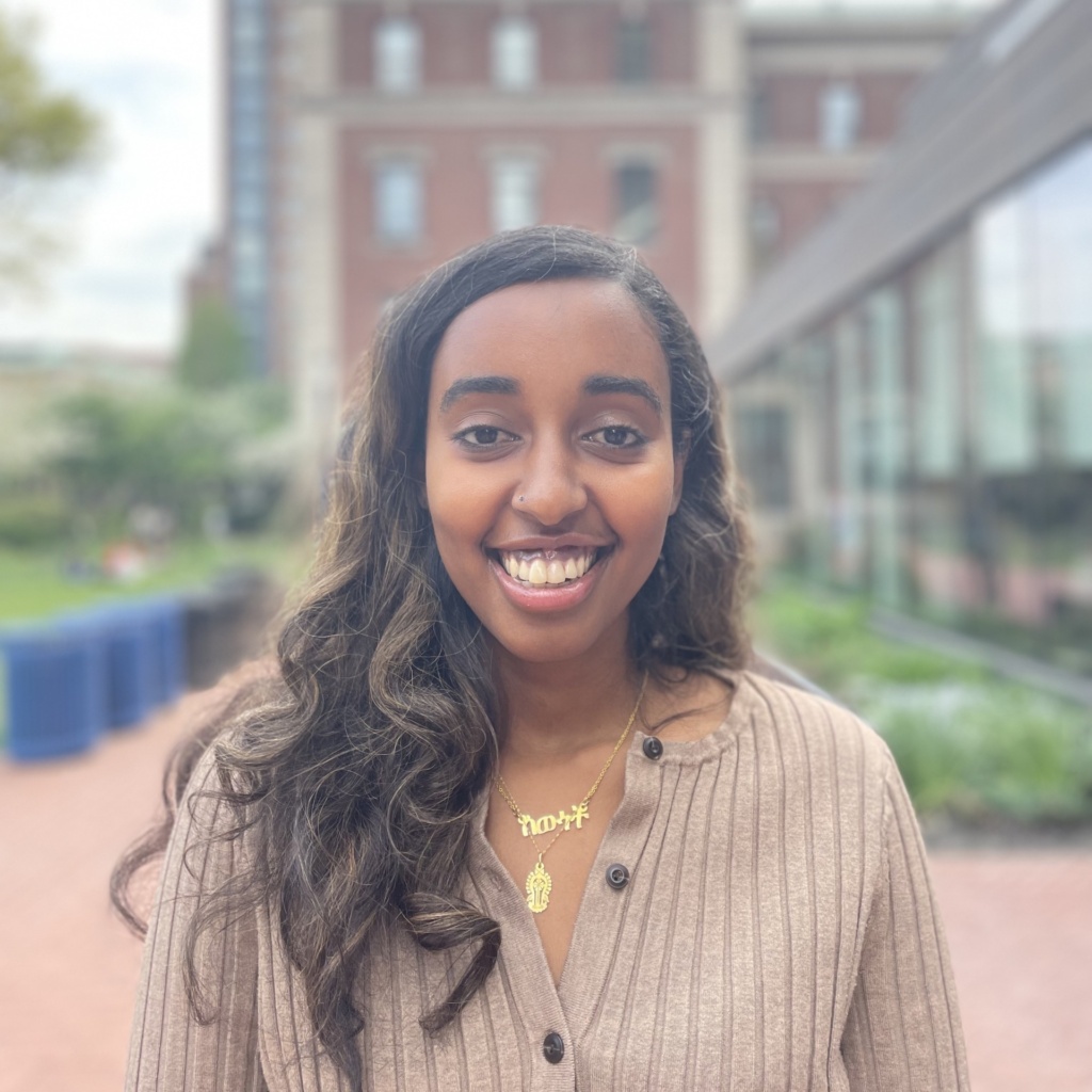 WEDO: Development Assistant