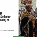 Media Briefing: What’s at Stake for Gender Equality at COP30